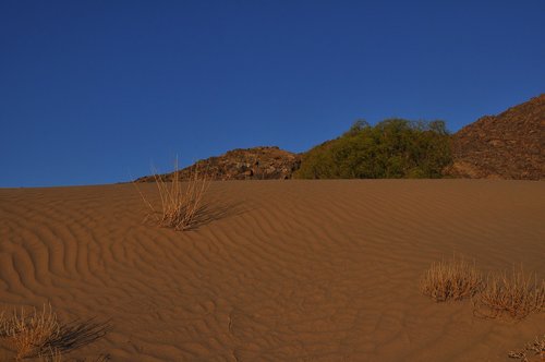 desert  arid  sand