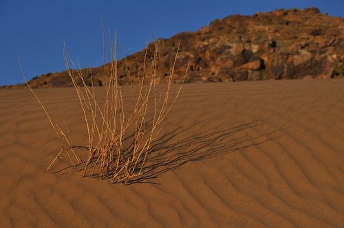 desert  dry  sand
