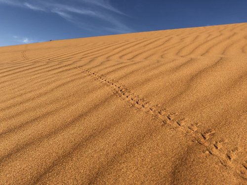 desert  sand  dry