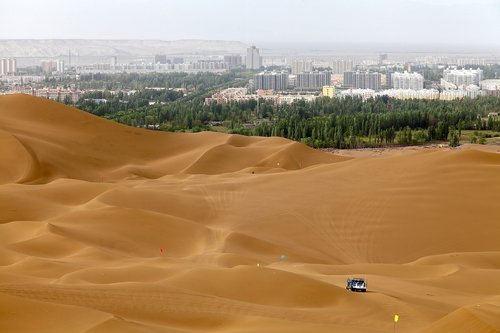 desert  nature  tourism