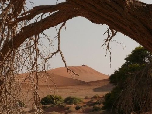 desert sahara namibia