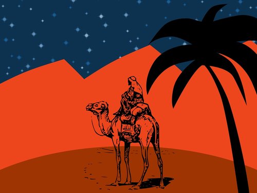 desert  camel  palm tree