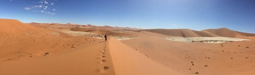 desert  namibia  africa