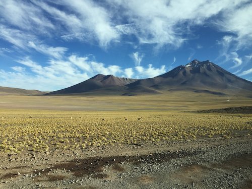 desert  mountain  nature