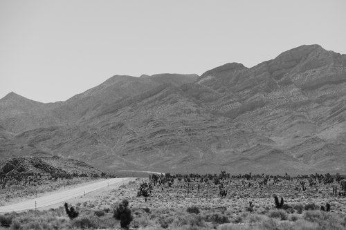 desert  road  black