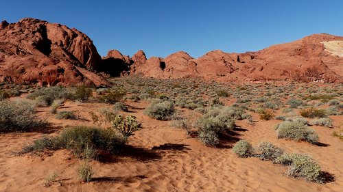 desert  sands  sandstone