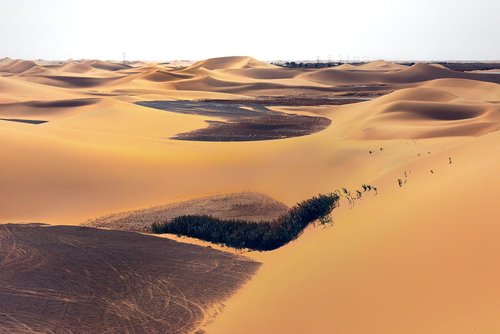 desert  the scenery  no man's land