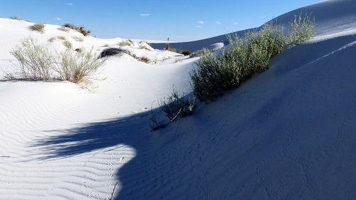 desert  sand  gypsum