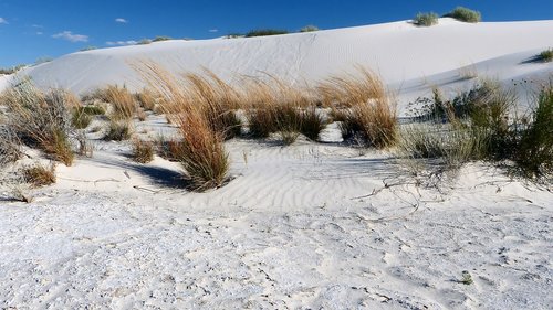desert  sand  nature