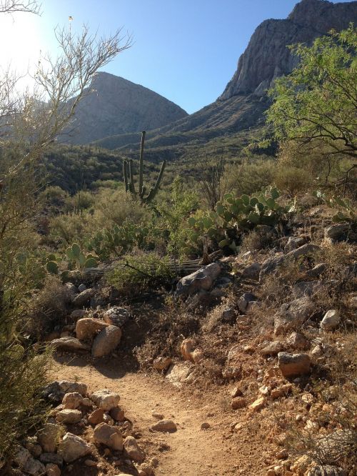 desert trail arizona