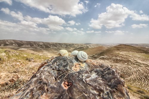 desert  sky  landscape