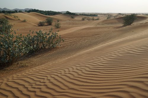 desert  travel  sand