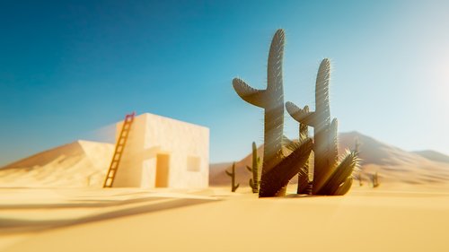 desert  cactus  sand