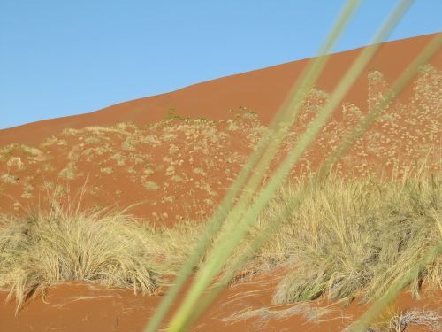 desert namib namibia