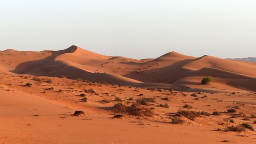 desert  dunes  dune