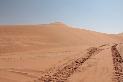 desert  sand  traces