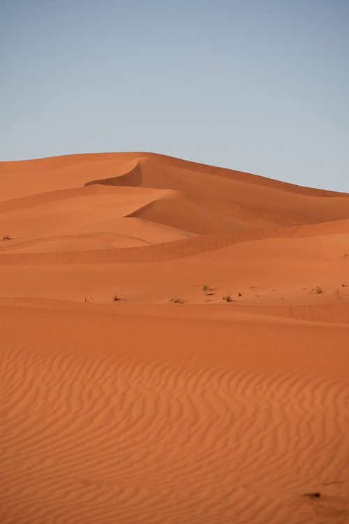 desert  sahara  sand