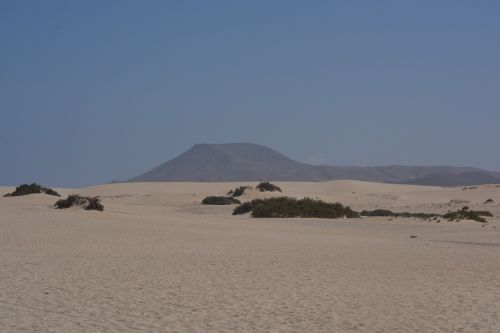 desert sand nature