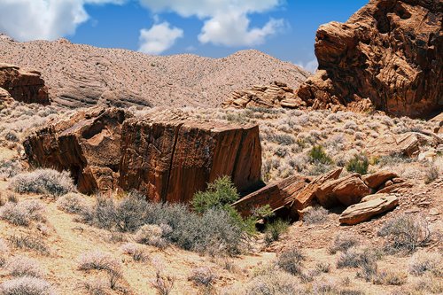desert  rock  landscape