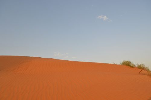 desert dubai safari