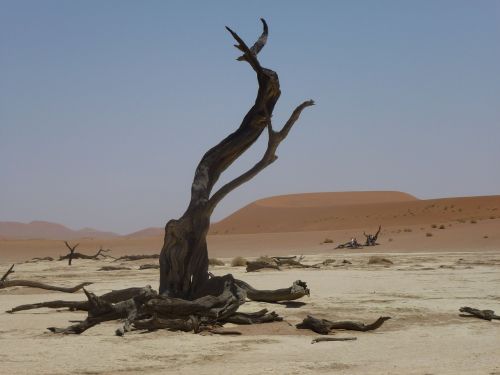 desert namibia landscape