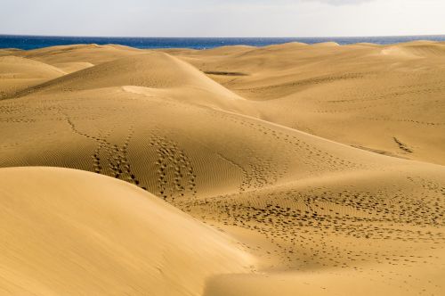 desert sand dunes nature