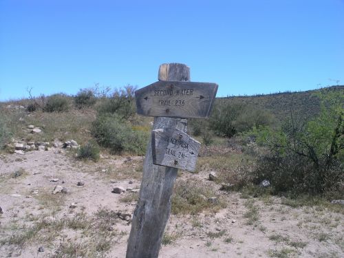 desert sign arizona