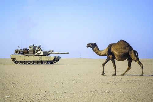 desert camel tank
