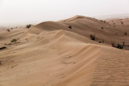 desert sand thin