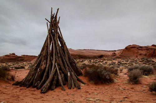 desert red wood