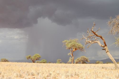 desert rain rain cloud