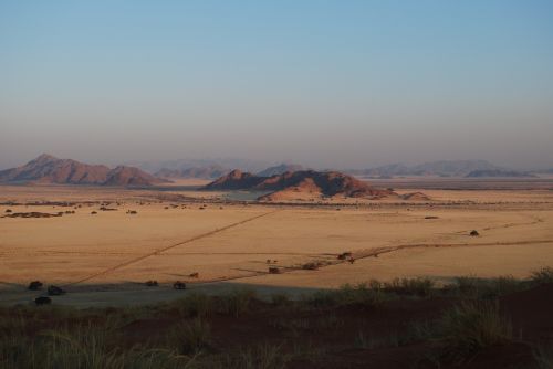 desert landscape nature