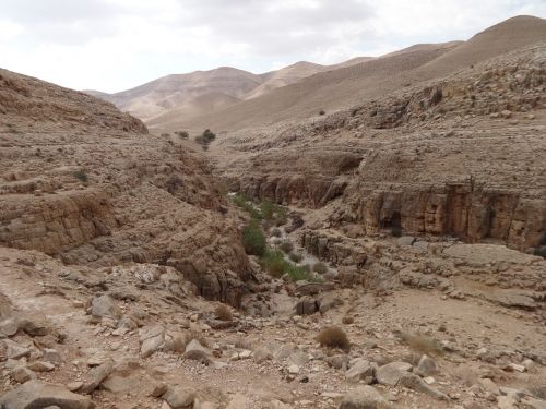 desert wadi rock