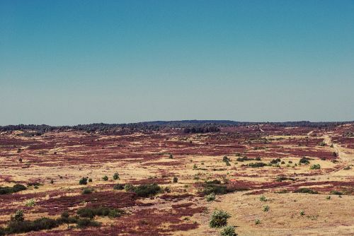 desert sand landscape