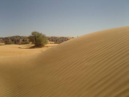 desert algeria sahara
