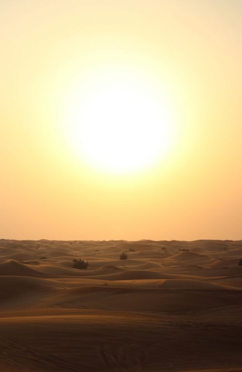 desert landscape sunset desert