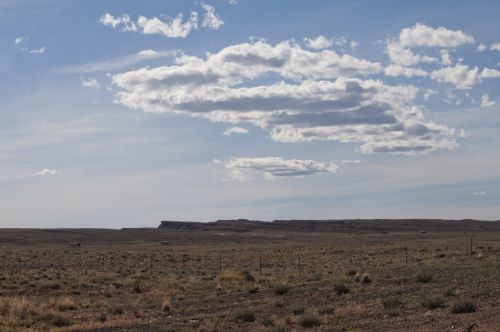 Desert Landscape