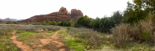 Desert Red Rocks Landscape