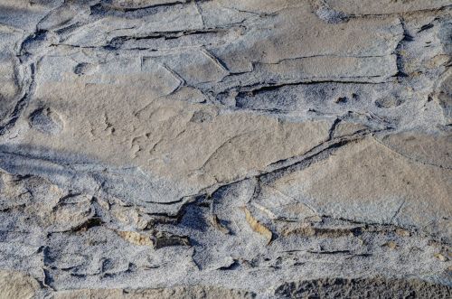 Desert Rock Background