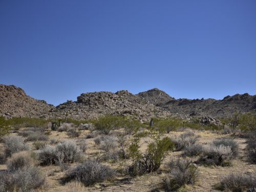 Desert Scenic Landscape