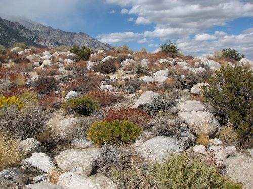 Desert Scenic Landscape