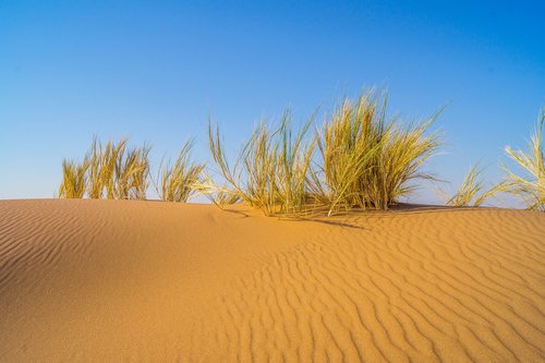 dessert  sand  dune