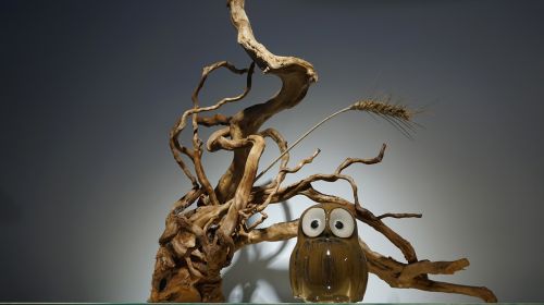 device owl deadwood