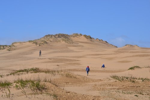 devon  desert  england