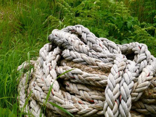 dew rope nature