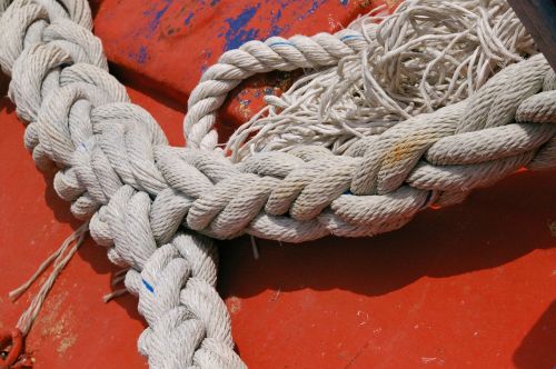 dew rope harness lines