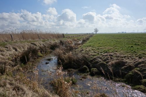 dig water pasture