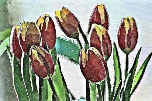 digital graphics tulip