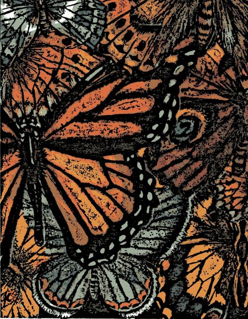 digital art butterfly artwork