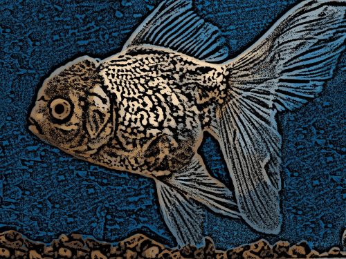 digital art fish goldfish